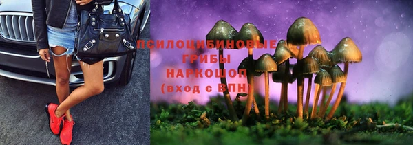 винт Елабуга