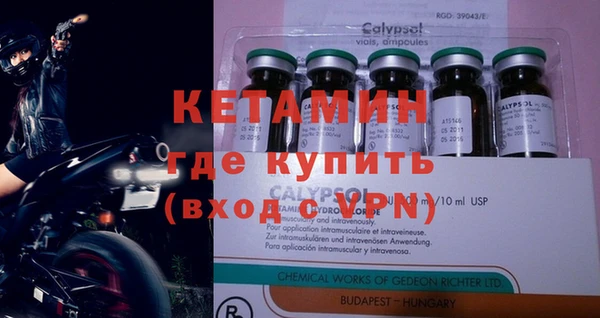 кокс Елизово