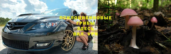 тгк Покров