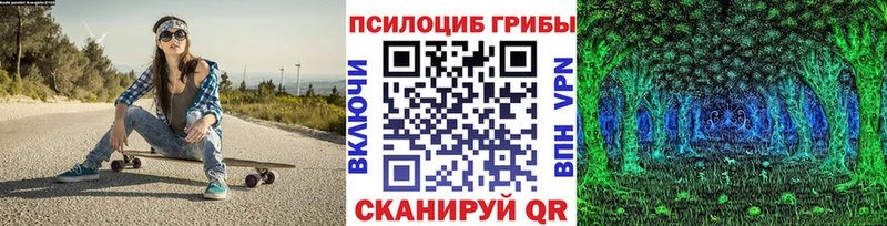 blacksprut как войти  Сенгилей  Псилоцибиновые грибы Psilocybine cubensis 